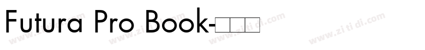 Futura Pro Book字体转换